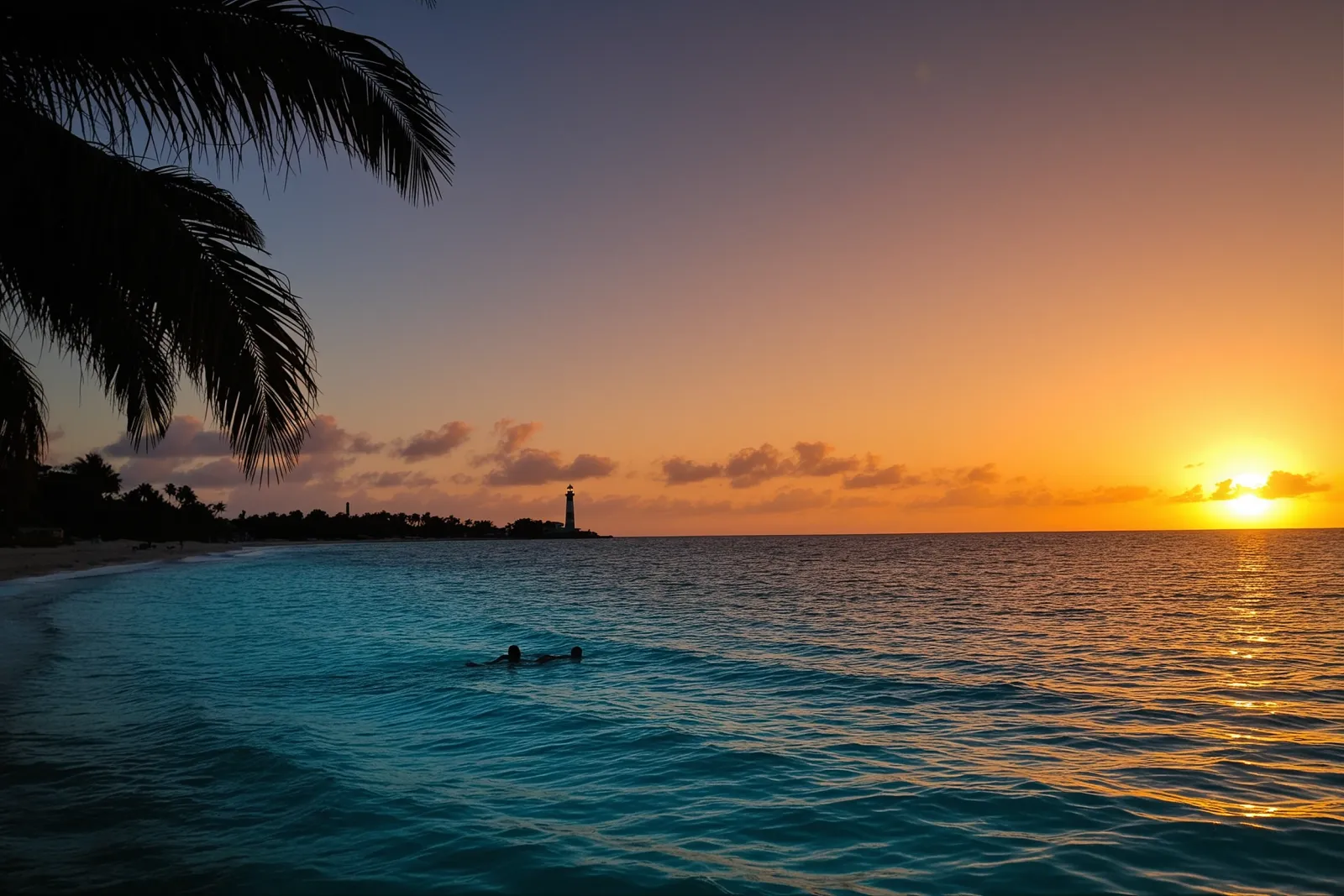 A group of swimmers in the ocean at Loggerhead Park during a meetup.