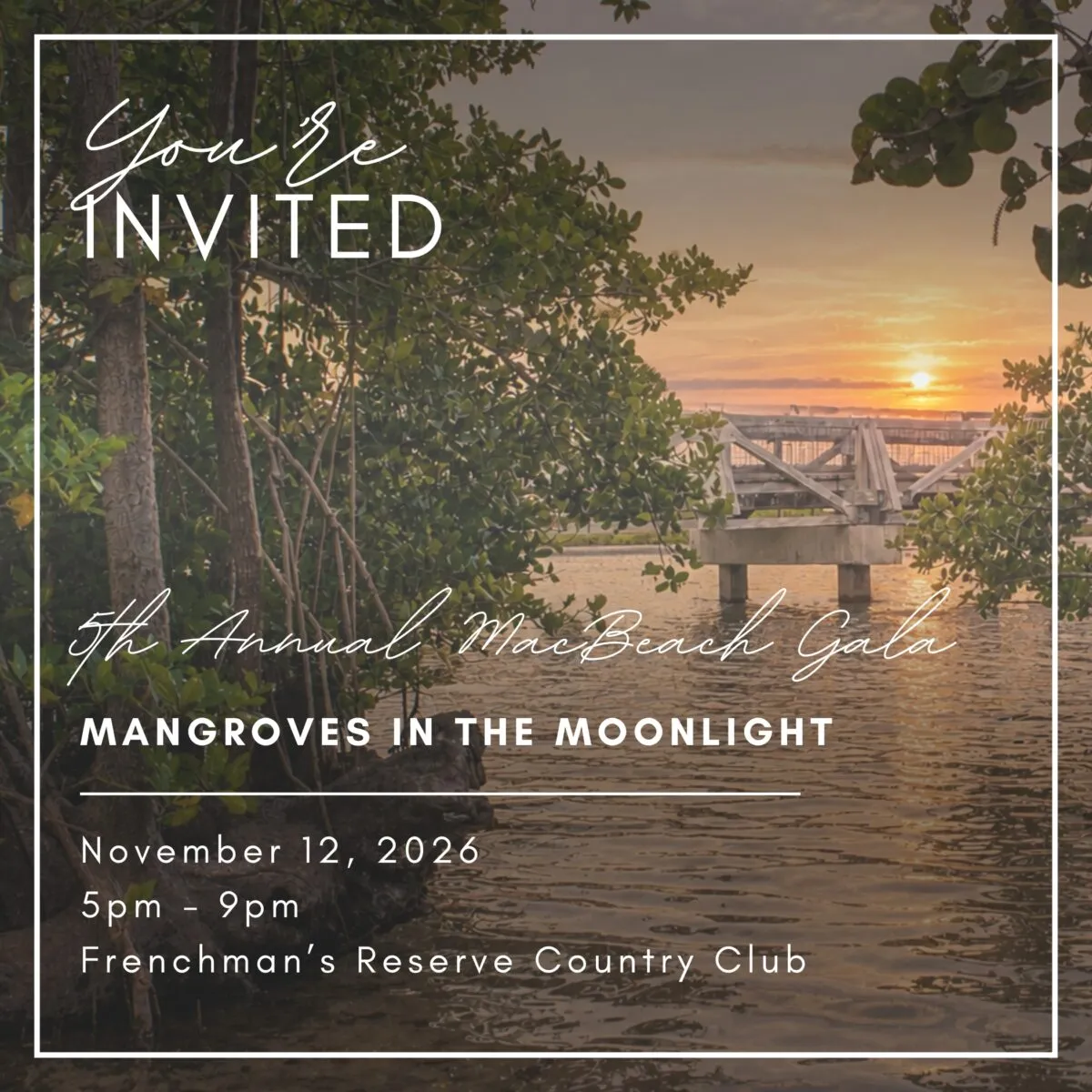 A nighttime scene at the MacBeach Gala with guests enjoying live music and dining under the moonlight.