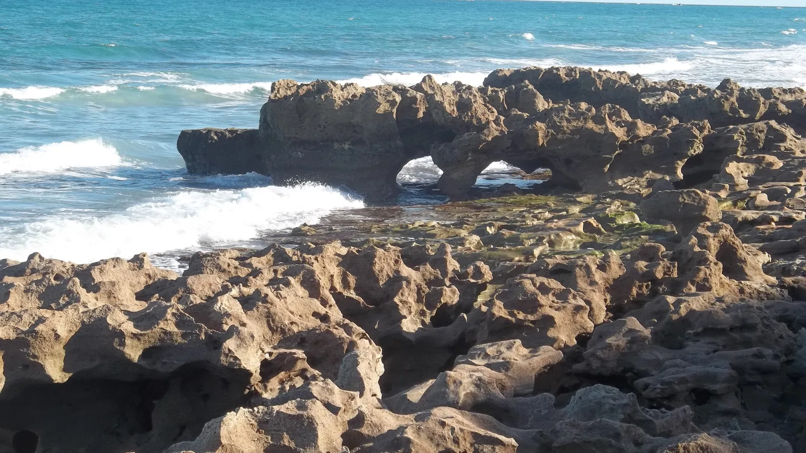 Waves breaking against the rock ledges at Coral Cove Park.