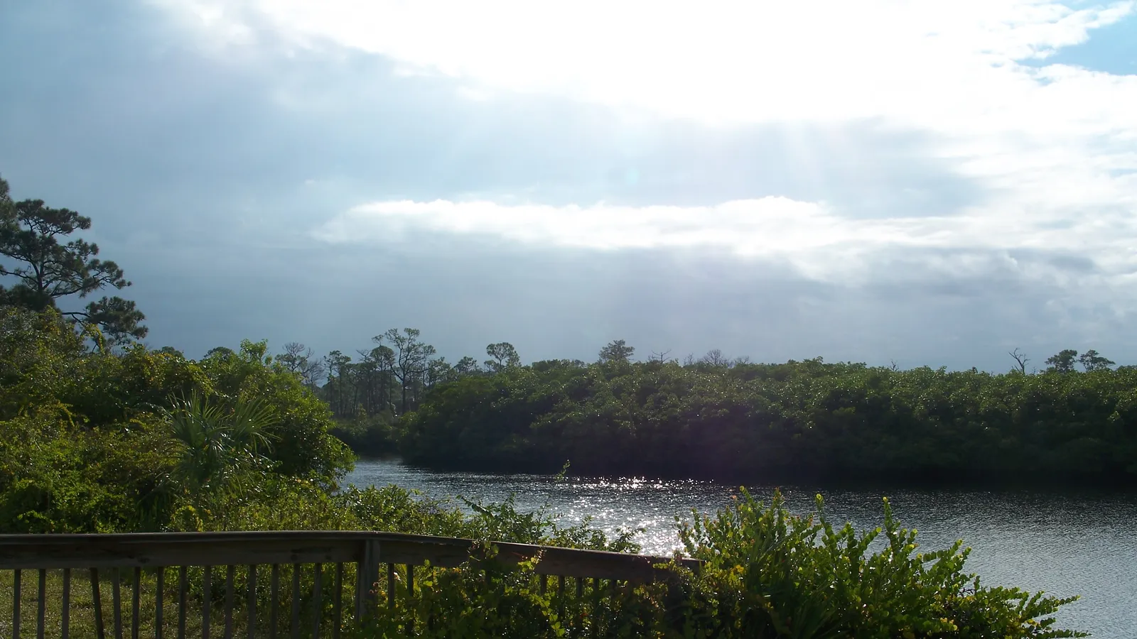 The Loxahatchee River winding through natural forest inside Jonathan Dickinson State Park.