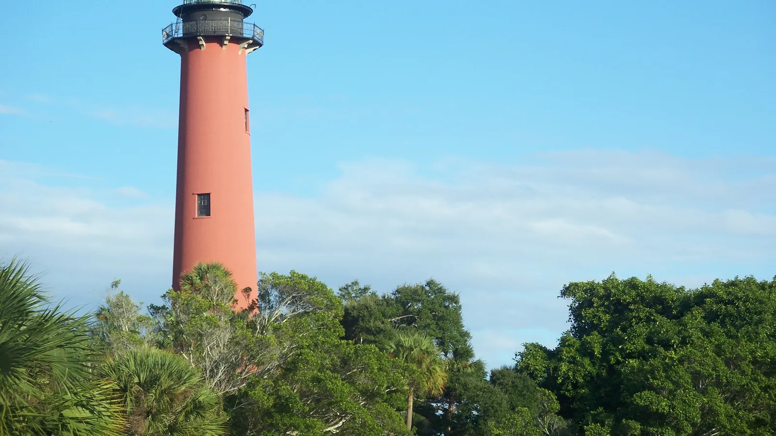 The red brick Jupiter Inlet Lighthouse tower rising above the tree line against a blue sky.